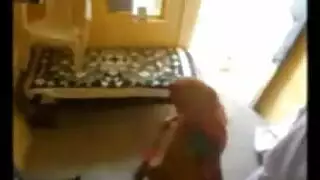 موز قذر مزرعة