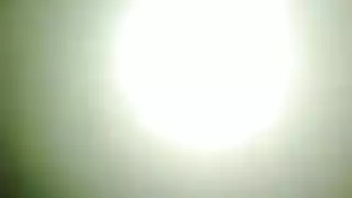 مثلي الجنس الهرة مزدوجة