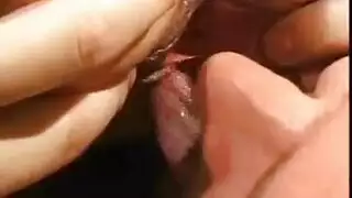 رحلة أليكا البرية: تتعرض للضرب تحت ضوء النار