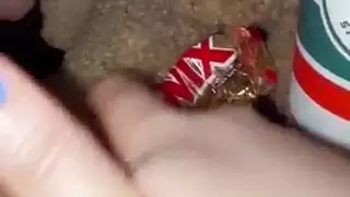 سكس في الليل الولد وخالته وعمته مترجم