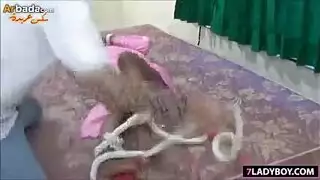 شميل المدارس